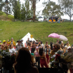 Psychedelic Bush Disco Vol.2