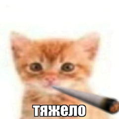 минута!
