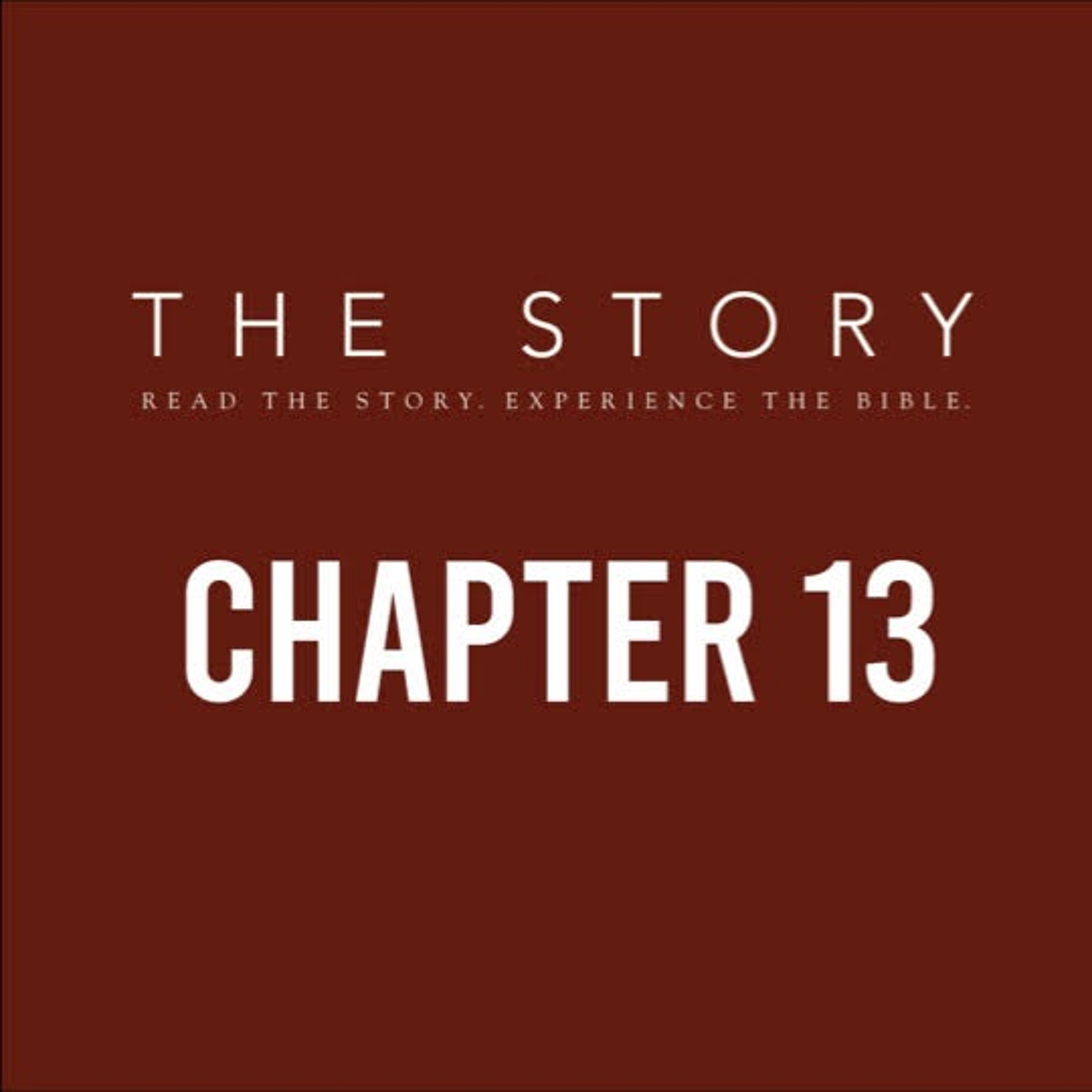 The Story-Ch. 13: The King Who Had it All - Proverbs episode artwork