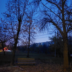 I probably should’ve downed 21 beers @duckieleigh