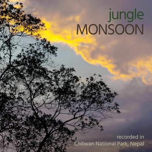 Jungle Monsoon - Chitwan National Park, Nepal - Album Sample