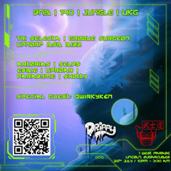 Bushido X Drippy: The Linc Up - Promo mix - UP NORF B2B BIZZ