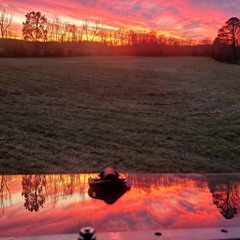 Out in the woods - Cowboy Jake prod. Yung Troubadour