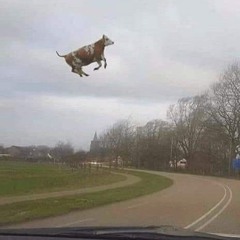 apatia(prod.by seerkle)