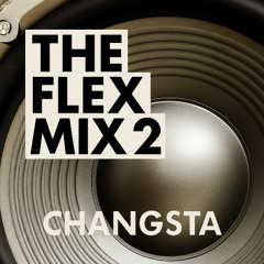 The Flex Mix 2