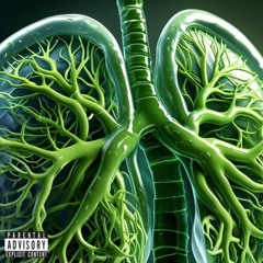 SUPERSIZED (Produced by Yonx)