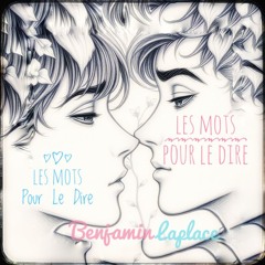 « Les MoTs PouR Le DiRe » : Contre/Against #homophobia 2 versions de Benjamin Laplace