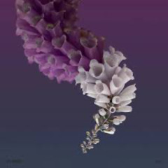 Still Flume