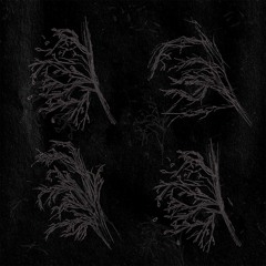 feuille