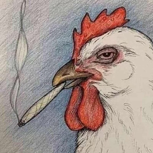 D1NO X SMIT - BARTOLITO RDM