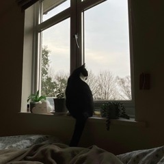 matter to you - olivia barton