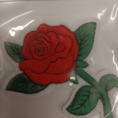 Janari - Roses
