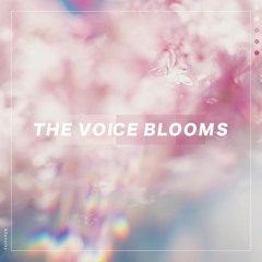 The voice blooms