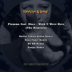 Fiamma feat Shuv - Wish U Were Here (Daniel Tobias Behan Remix) snippet