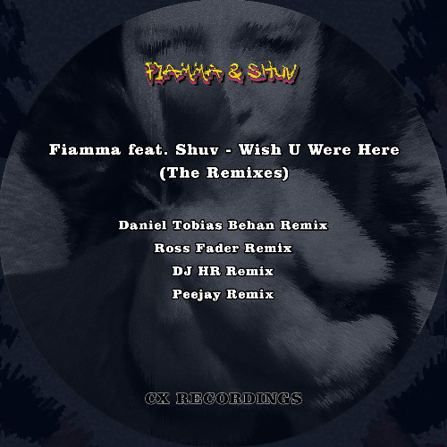 Fiamma feat Shuv - Wish U Were Here (DJ HR Remix) snippet