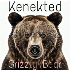 Grizzly Bear