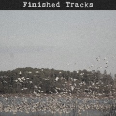 Finished Tracks