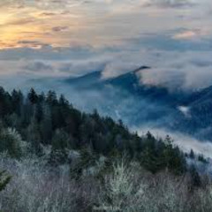 Hills in Tennessee