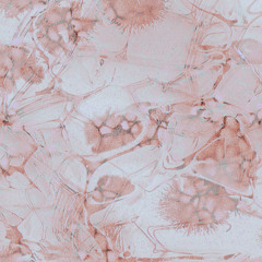 Soft Focus : Mary B (28.10.25)