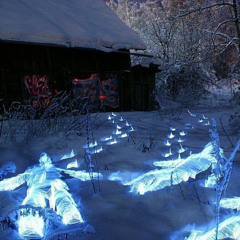 cold night