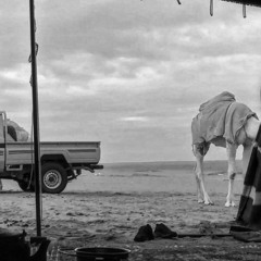 ‎⁨والله انه جرح قلبي منه طبه⁩.