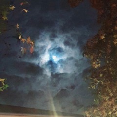 New Chapter, On In Due Journey To Happiness