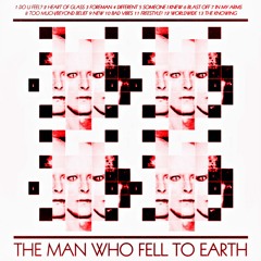 THE MAN WHO FELL TO EARTH