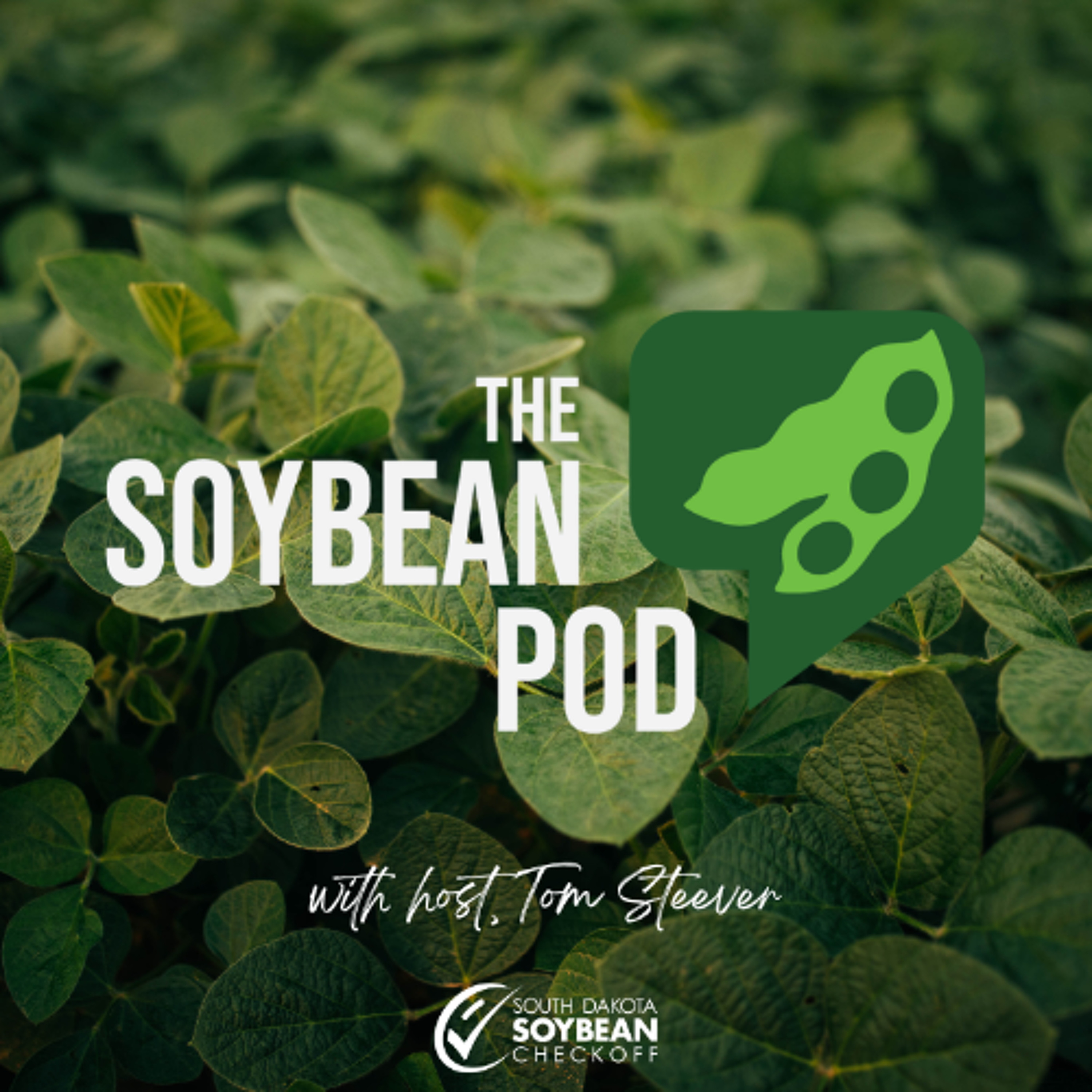 The Soybean Pod