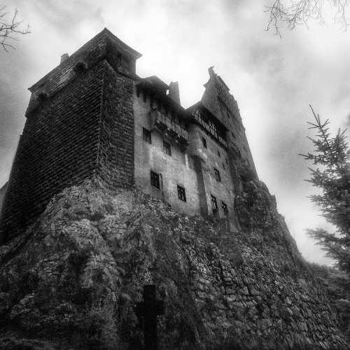 the damned path