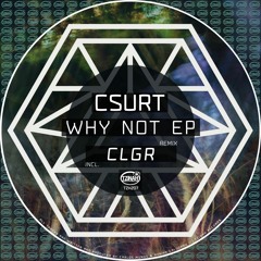 Csurt - Why Not (Original Mix) Preview