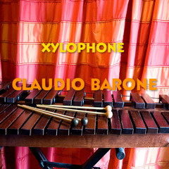 XYLOPHONE - CLAUDIO BARONE