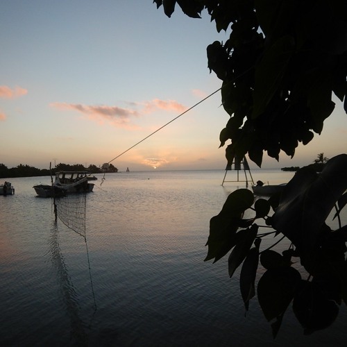 DR STEEVE /Kalash Gal Yuh Body /CS GNG SAHH.mp3