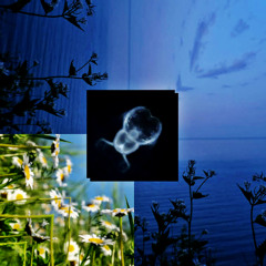 @AlexanderPanosPLSFixthisdisasterofaremix