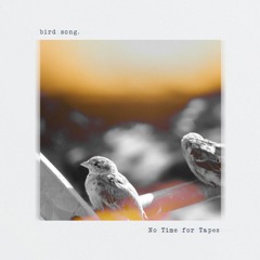 Bird Song