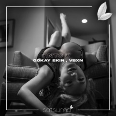 Gökay Ekin X VBXN - Into You (Original Mix)