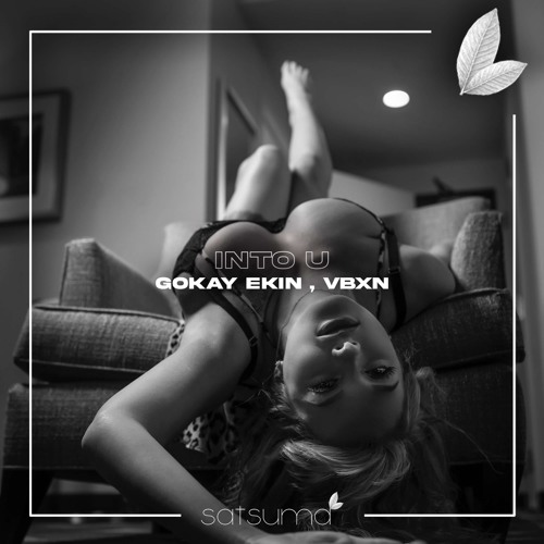 Gökay Ekin X VBXN - Into You (Original Mix)