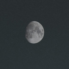 de1looevw4y1dleo-X133