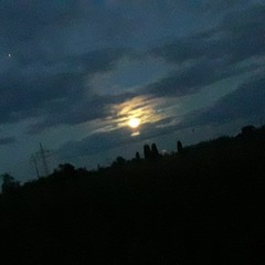 Moontrip