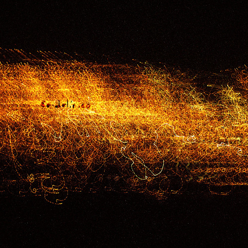 Sonhando com os passarinhos