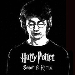 Harry Poter Main Theme (Señor B Remix)