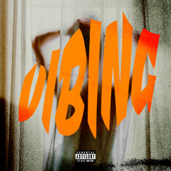 Vibing