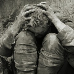 Shelter