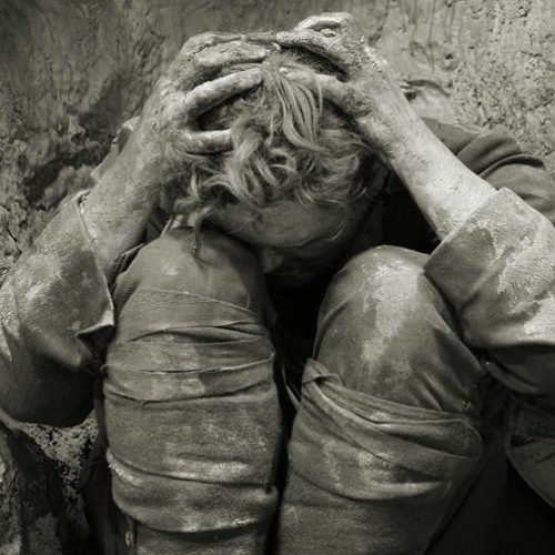 Shelter