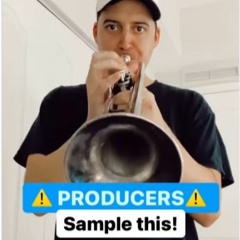 BruceBeatsAllDay Sample Challenge #6