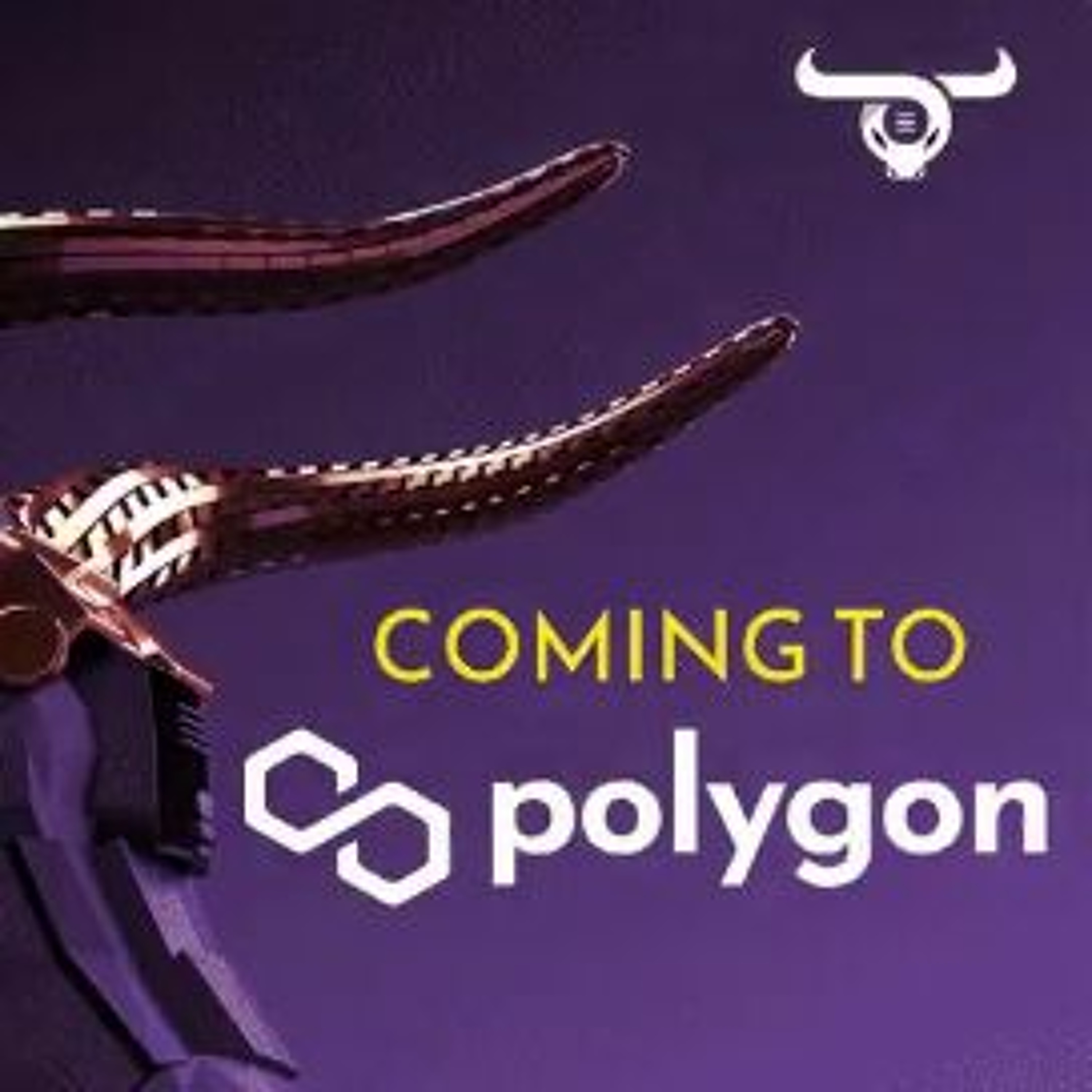 Ep 14 - Equity Polygon Presale!