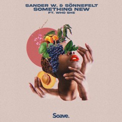 Sander W. & Sönnefelt - Something New (Ft Who She)
