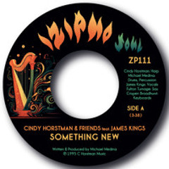 CINDY HORSTMAN feat. JAMES KINGS - SOMETHING NEW