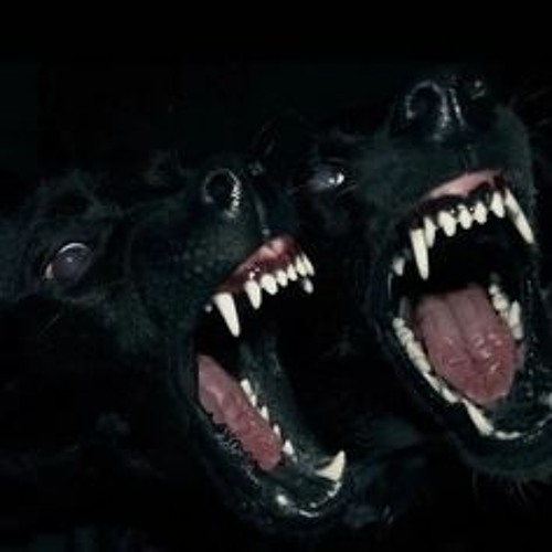 demondogs *fredchillin