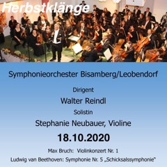 Symphonie Nr. 5 in c, Op 67 - 1. Allegro con brio