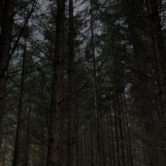 F song (slowed version)